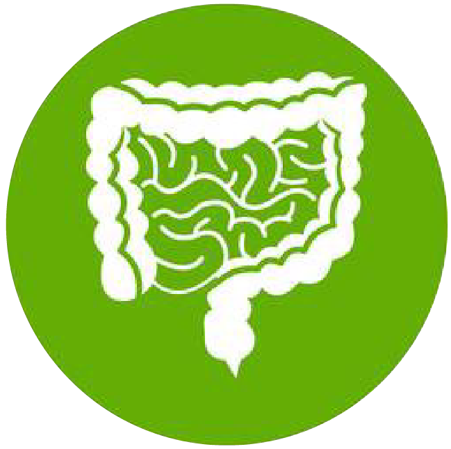 關(guān)注職場“腸”態(tài)，守護員工健康——上海格瑞特特邀消化內(nèi)科專家公益系列講座（4）(圖1)