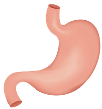 關(guān)注職場“腸”態(tài)，守護員工健康——上海格瑞特特邀消化內(nèi)科專家公益系列講座（4）(圖9)